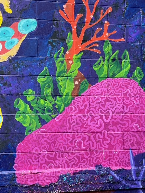 Murray the octopus mural, view 16.